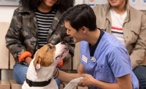 Banfield Pet Hospital | Palo Alto