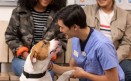 Banfield Pet Hospital | Palo Alto