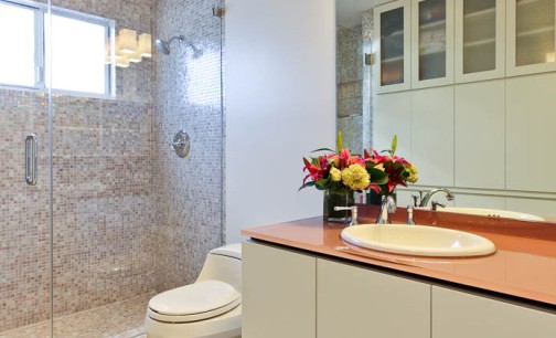 Customized, Built-in Bathroom