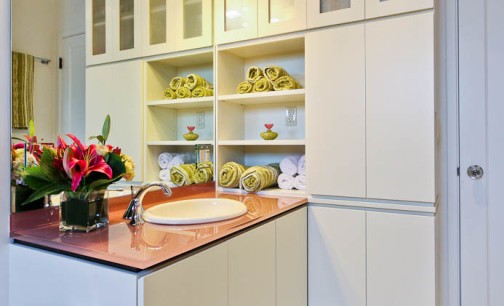 Customized, Built-in Bathroom