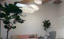 One Medical | Berkeley, Menlo Park